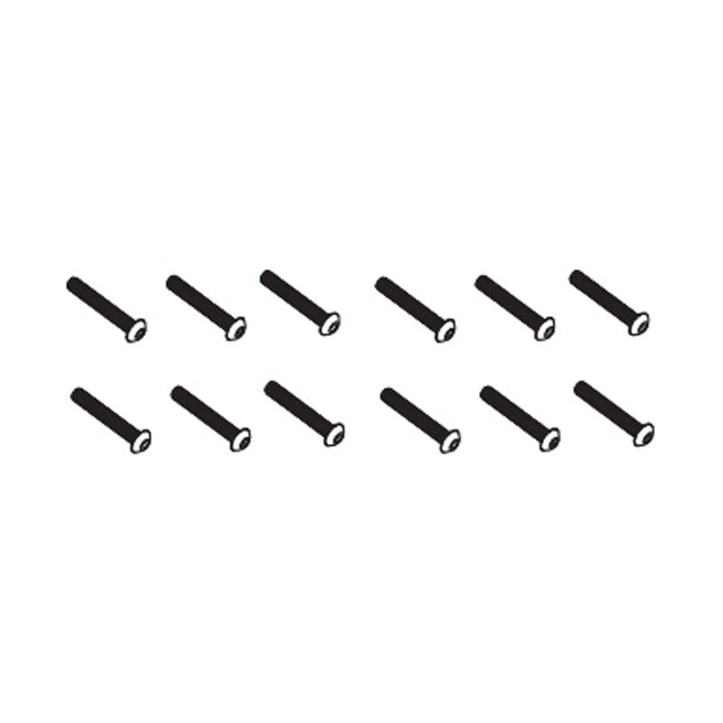 Schrauben 4x16mm (12 St&uuml;ck) - BEAST BX / TX