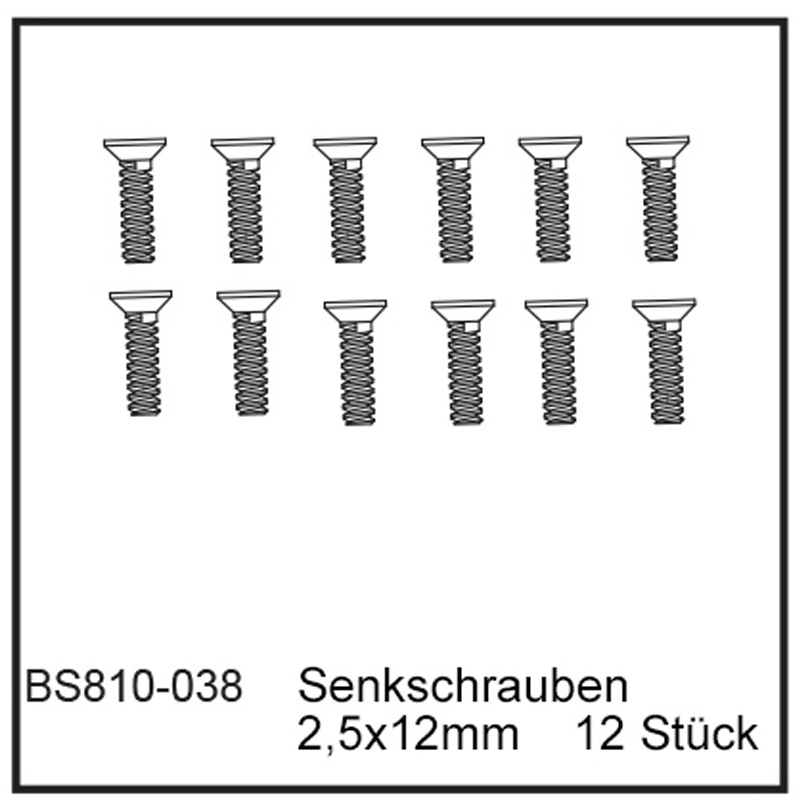 Senkschrauben 2,5x12mm (12 Stück) - BEAST BX / TX